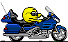 Motorcycle2